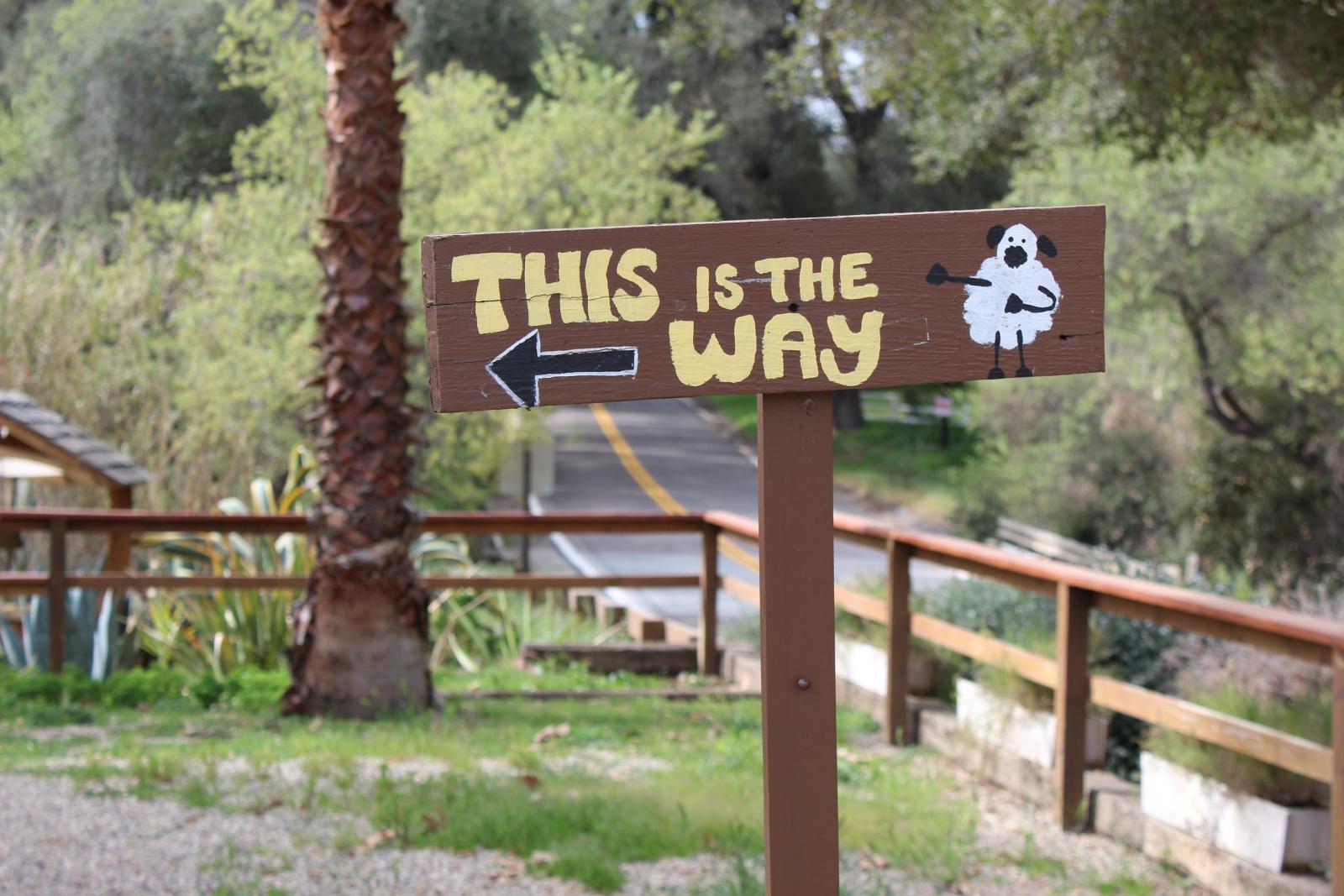the way
