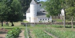 Barn and garden