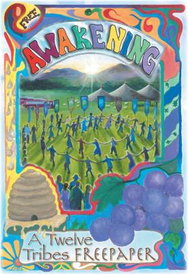 Awakening Freepaper cover image