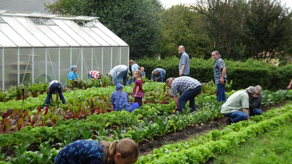 working together in our garden