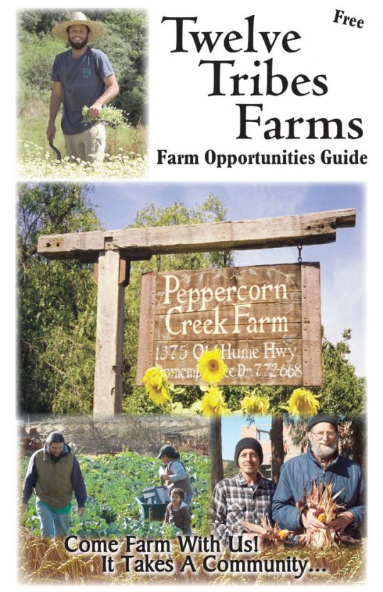 people working together on farms