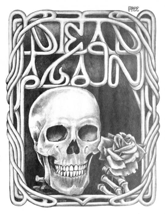 skull surrounded by roses and psychedelic imagery