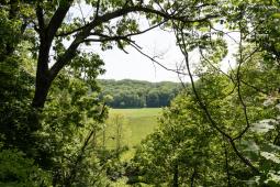 View of the farm