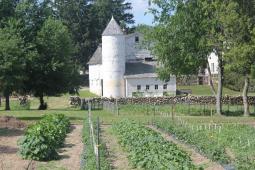 Barn and garden